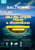 GILI ISLAND TOUR