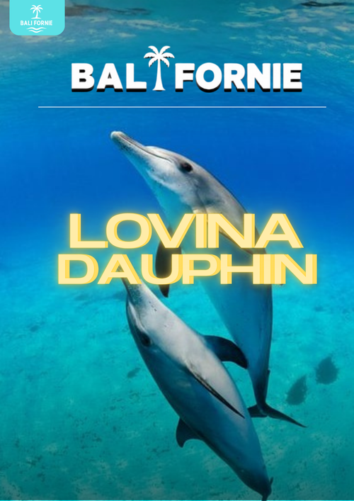 LOVINA DAUPHINS