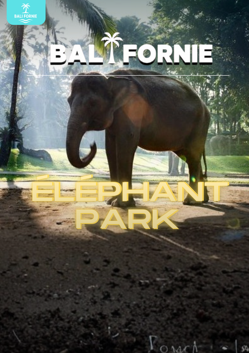 ELEPHANT PARK