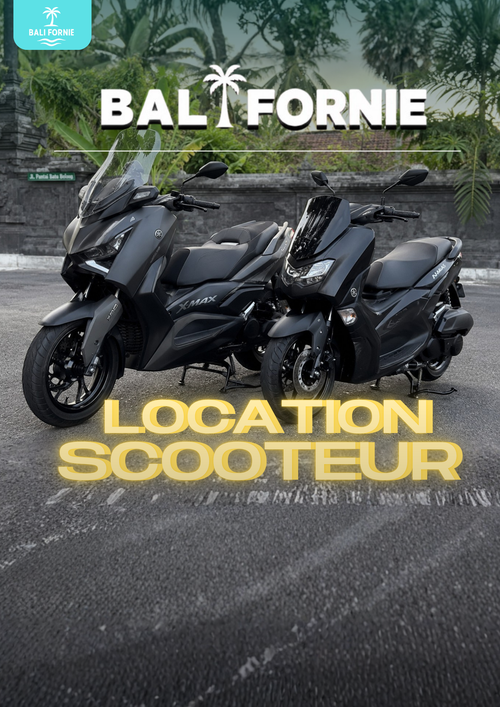 LOCATION DE SCOOTER