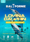 LOVINA DAUPHINS