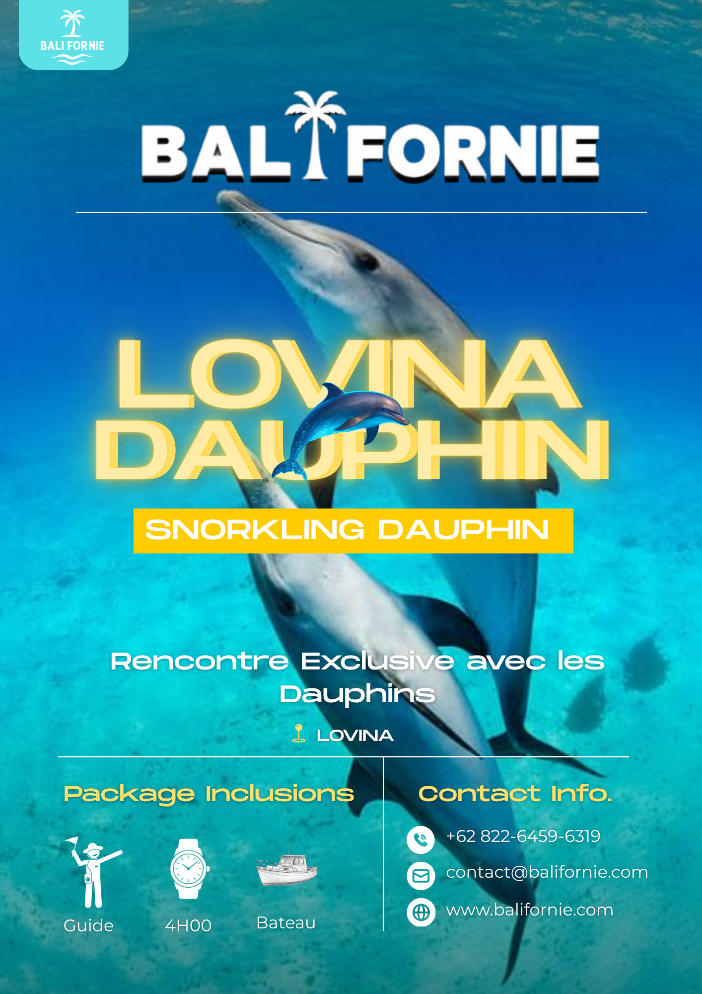 LOVINA DAUPHINS
