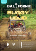 BUGGY