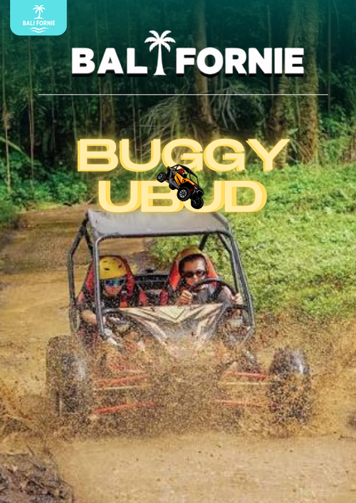 BUGGY